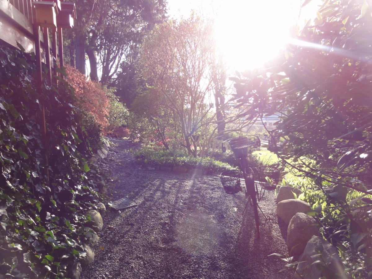 Crescent Drive gardens 1.JPG at 2540 Crescent Drive, Crescent Bch Ocean Pk., South Surrey White Rock